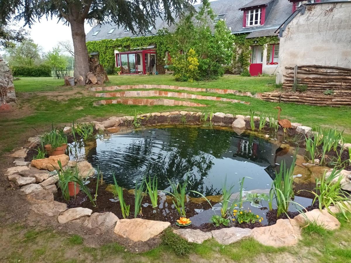 Gite En Bord De Loire Blaison-Saint-Sulpice Bagian luar foto